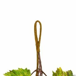 Cheapest 🥰 5.5' x 6" Red and Yellow Maple Leaf with Mum Flower 👪 Thanksgiving Garland - Unlit 🎉 -Craft Kits Sales 5 5 x 6 red and yellow maple leaf with mum flower thanksgiving garland unlit14256767 a02