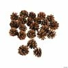 Cheap ✨ Mini Natural Pinecones - 24 Pc. 🛒