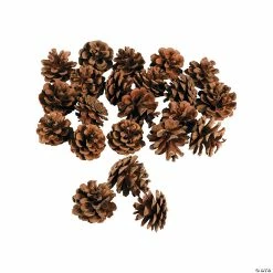 Cheap ✨ Mini Natural Pinecones - 24 Pc. 🛒