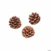 Buy 🔔 Natural Pinecones - 12 Pc. 👍