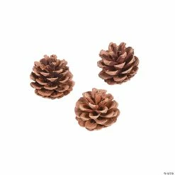 Buy 🔔 Natural Pinecones - 12 Pc. 👍