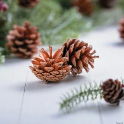 Buy π Natural Pinecones - 12 Pc. π 5 Buy π Natural Pinecones - 12 Pc. π -Craft Kits Sales natural pinecones 12 pc 13751507 a02