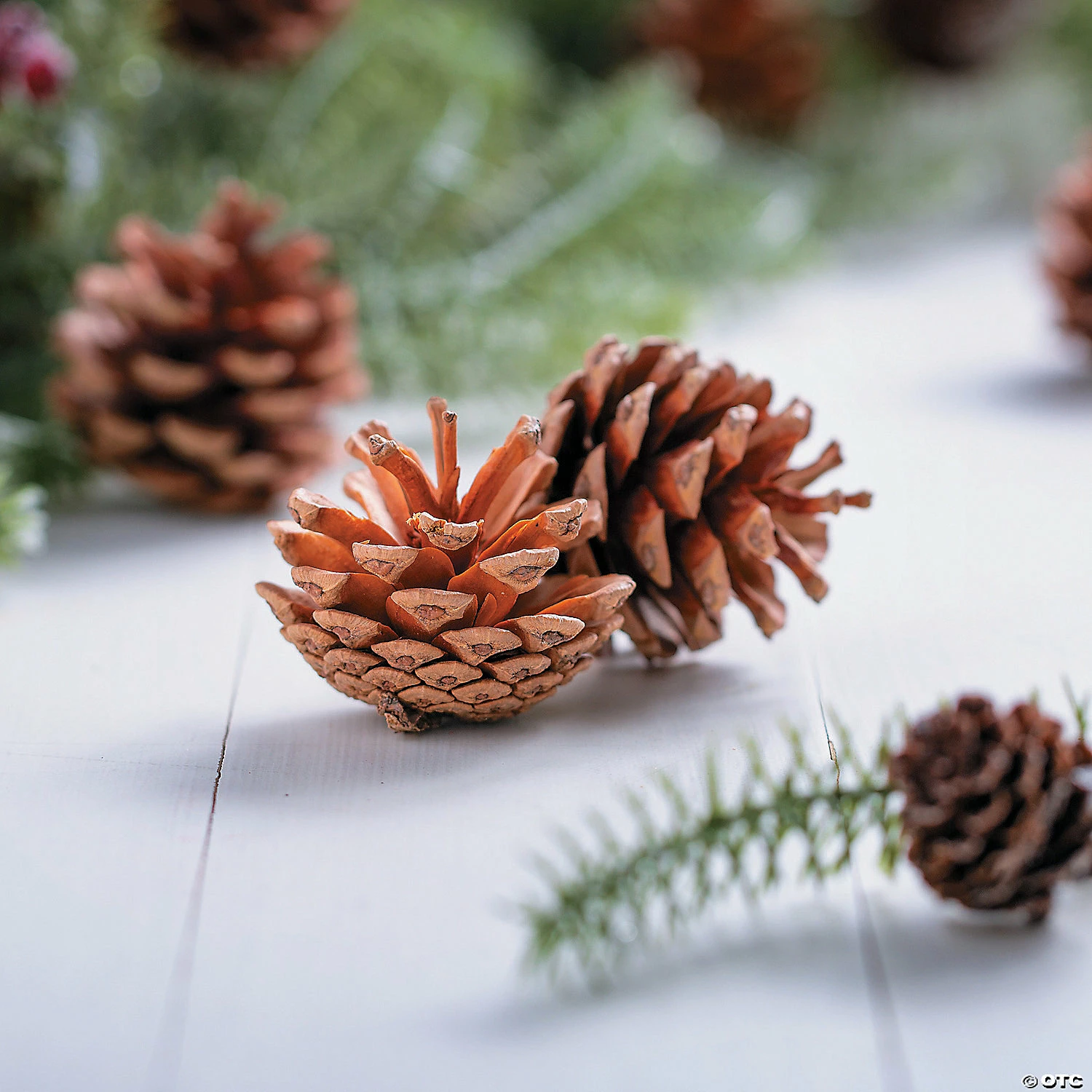 Buy π Natural Pinecones - 12 Pc. π 3 Buy π Natural Pinecones - 12 Pc. π - Image 3