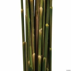 Flash Sale ✔️ Vickerman 36" Aspen Gold Plume Reed 2 Pack Bundle ✔️ -Craft Kits Sales vickerman 36 aspen gold plume reed 2 pack bundle13968686 a03