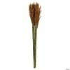 Buy 🔔 Vickerman 36" Autumn Plume Reed 2 Pack Bundle 🎉