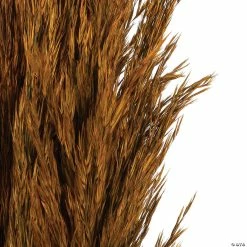 Buy π Vickerman 36" Autumn Plume Reed 2 Pack Bundle π 7 Buy π Vickerman 36" Autumn Plume Reed 2 Pack Bundle π -Craft Kits Sales vickerman 36 autumn plume reed 2 pack bundle13968687 a03
