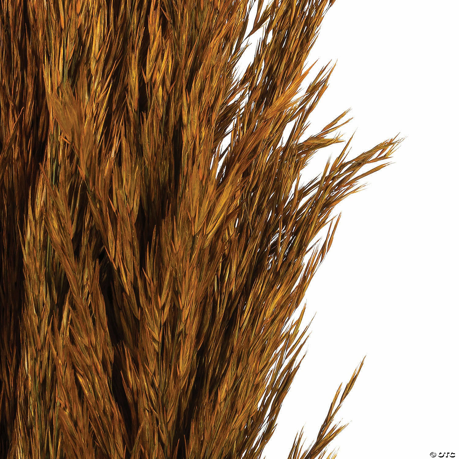 Buy π Vickerman 36" Autumn Plume Reed 2 Pack Bundle π 4 Buy π Vickerman 36" Autumn Plume Reed 2 Pack Bundle π - Image 4