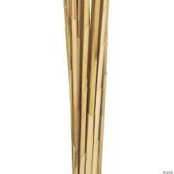 Buy 👍 Vickerman 36" Bleached Plume Reed 2 Pack Bundle 🔔 -Craft Kits Sales vickerman 36 bleached plume reed 2 pack bundle13968689 a02