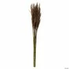 Cheapest ✔️ Vickerman 36" Brown Plume Reed 2 Pack Bundle 🎁