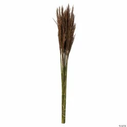 Cheapest ✔️ Vickerman 36" Brown Plume Reed 2 Pack Bundle 🎁