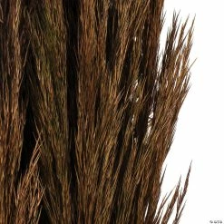 Cheapest βοΈ Vickerman 36" Brown Plume Reed 2 Pack Bundle π 6 Cheapest βοΈ Vickerman 36" Brown Plume Reed 2 Pack Bundle π -Craft Kits Sales vickerman 36 brown plume reed 2 pack bundle13968688 a02