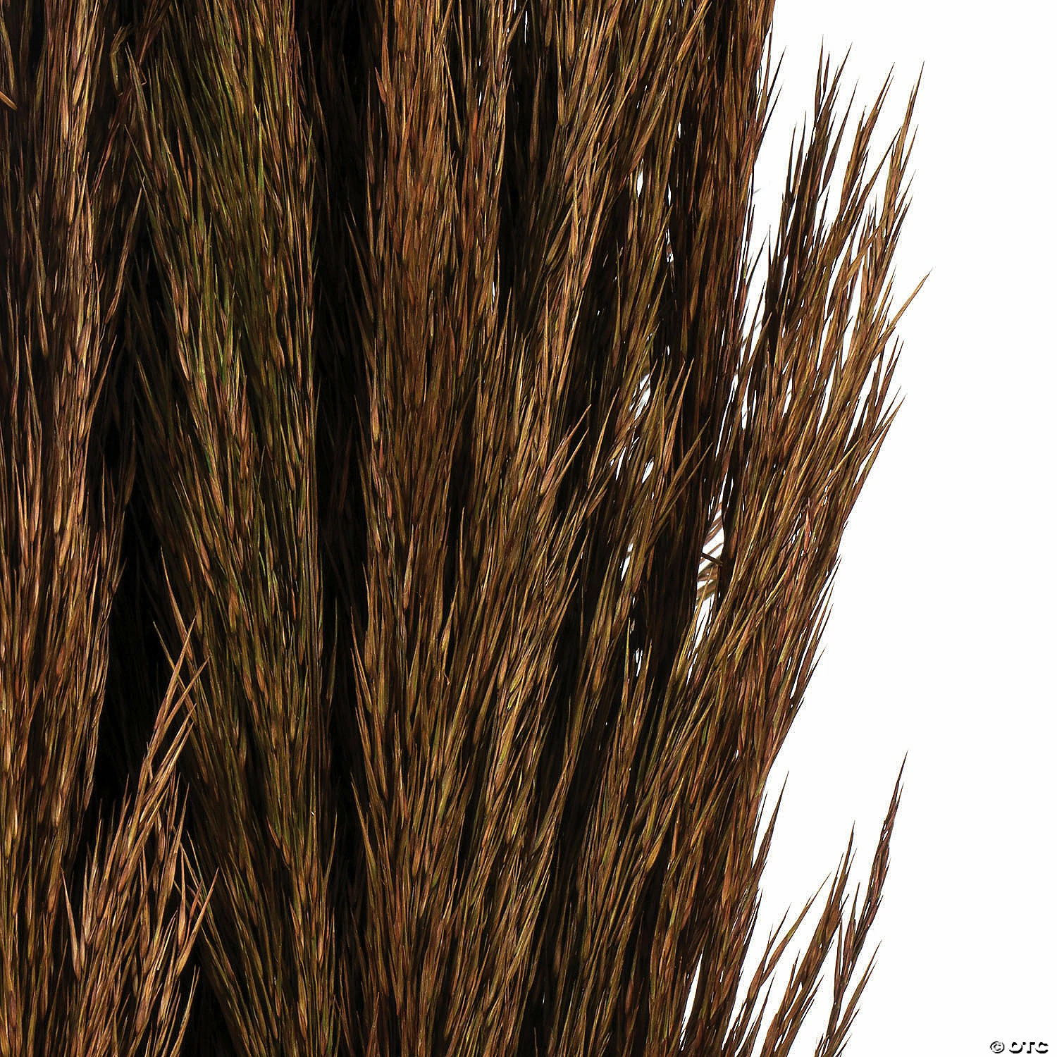 Cheapest βοΈ Vickerman 36" Brown Plume Reed 2 Pack Bundle π 3 Cheapest βοΈ Vickerman 36" Brown Plume Reed 2 Pack Bundle π - Image 3