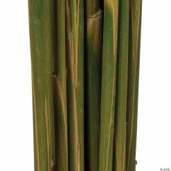Cheapest βοΈ Vickerman 36" Brown Plume Reed 2 Pack Bundle π 7 Cheapest βοΈ Vickerman 36" Brown Plume Reed 2 Pack Bundle π -Craft Kits Sales vickerman 36 brown plume reed 2 pack bundle13968688 a03