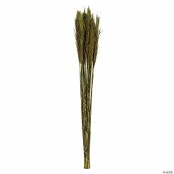 Best reviews of 🔥 Vickerman 36" Green Plume Reed 2 Pack Bundle 👏