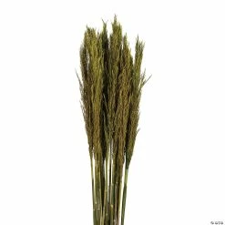 Craft Kits Sales -Craft Kits Sales vickerman 36 green plume reed 2 pack bundle13968684 a01