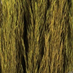 Best reviews of π₯ Vickerman 36" Green Plume Reed 2 Pack Bundle π 7 Best reviews of π₯ Vickerman 36" Green Plume Reed 2 Pack Bundle π -Craft Kits Sales vickerman 36 green plume reed 2 pack bundle13968684 a03