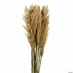 Craft Kits Sales -Craft Kits Sales vickerman 36 ivory plume reed 2 pack bundle13968682 a01
