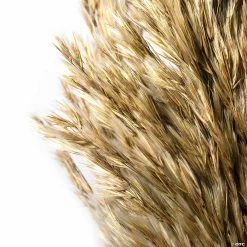 Outlet 😉 Vickerman 36" Ivory Plume Reed 2 Pack Bundle 🌟 -Craft Kits Sales vickerman 36 ivory plume reed 2 pack bundle13968682 a03