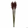 Buy 😀 Vickerman 36" Merlot Plume Reed Plume Reed 2 Pack Bundle 😉