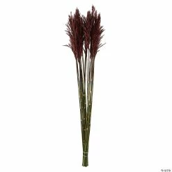 Buy 😀 Vickerman 36" Merlot Plume Reed Plume Reed 2 Pack Bundle 😉