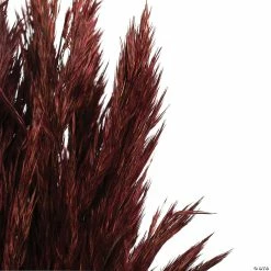 Buy π Vickerman 36" Merlot Plume Reed Plume Reed 2 Pack Bundle π 7 Buy π Vickerman 36" Merlot Plume Reed Plume Reed 2 Pack Bundle π -Craft Kits Sales vickerman 36 merlot plume reed plume reed 2 pack bundle13968685 a03