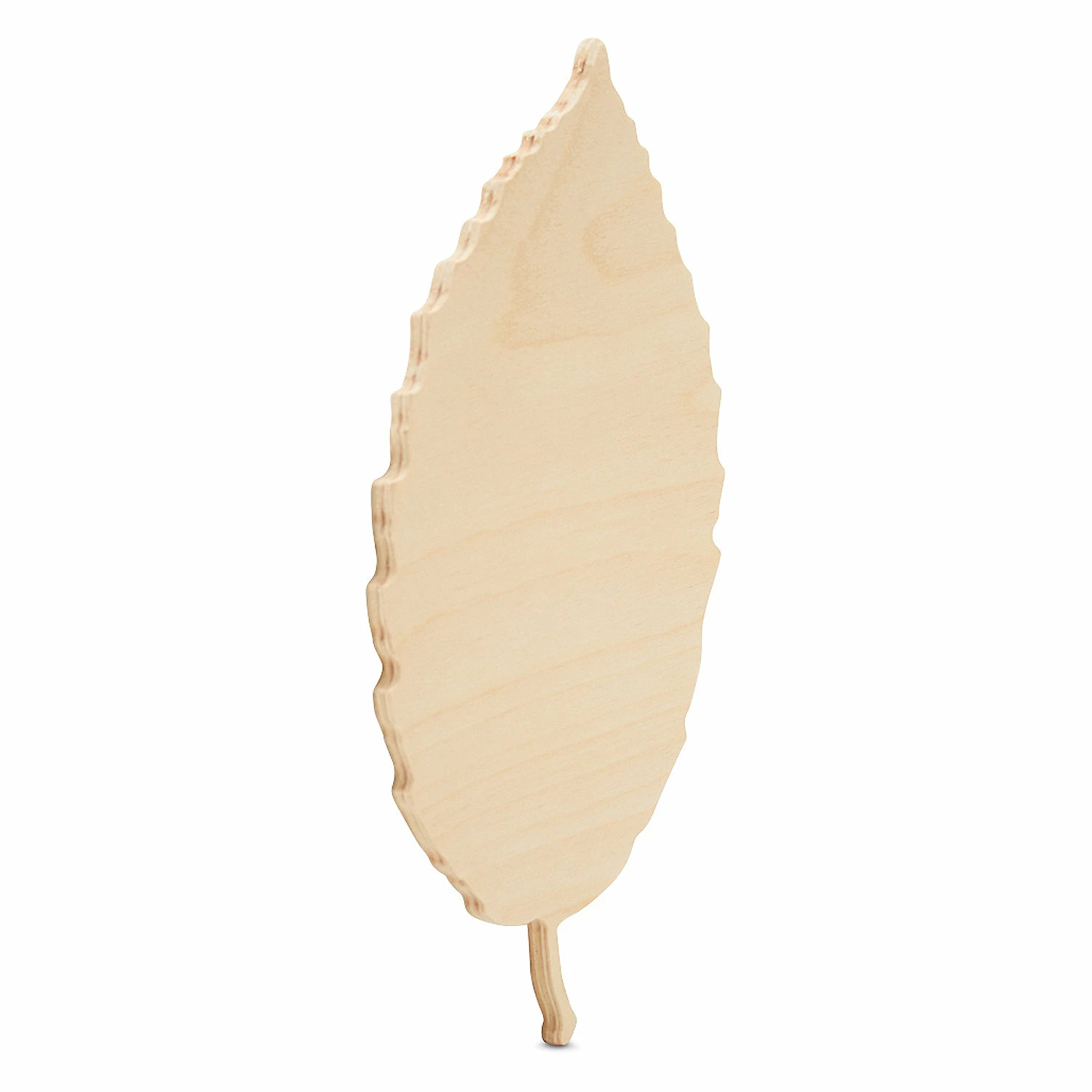 Budget π Woodpeckers Crafts, DIY Unfinished Wood 8" Leaf Cutout Pack of 12 β¨ 2 Budget π Woodpeckers Crafts, DIY Unfinished Wood 8" Leaf Cutout Pack of 12 β¨ - Image 2