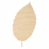 Best reviews of ✔️ Woodpeckers Crafts, DIY Unfinished Wood 8" Leaf Cutout Pack of 6 😍